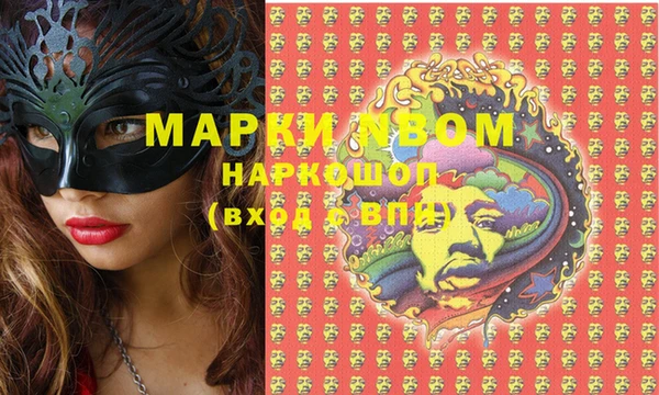 ГАЛЛЮЦИНОГЕННЫЕ ГРИБЫ Баксан
