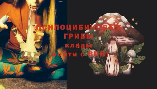 ГАЛЛЮЦИНОГЕННЫЕ ГРИБЫ Баксан