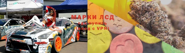 ГАЛЛЮЦИНОГЕННЫЕ ГРИБЫ Баксан